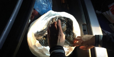 15 кілограм бурштину вилучили у водія авто на Костопільщині